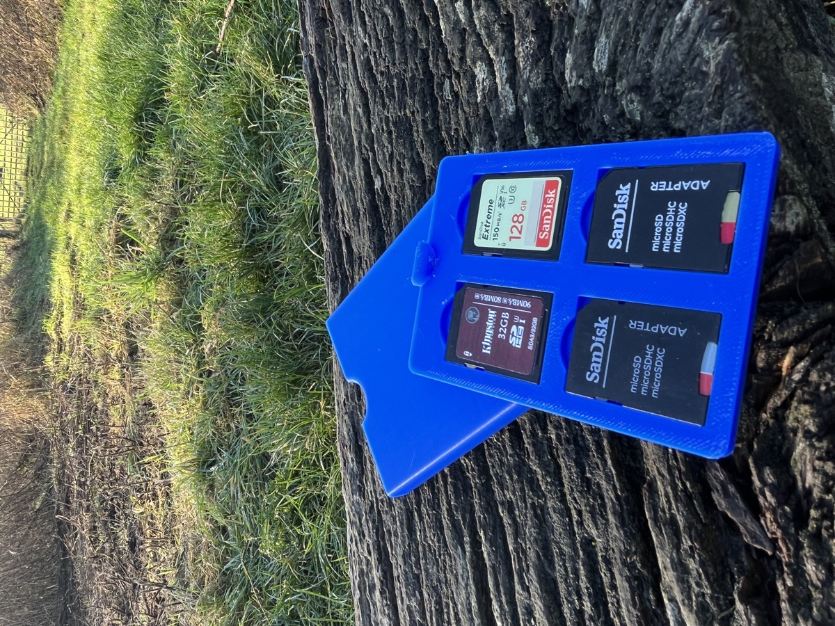 Blue 3D printed case holding memory cards
